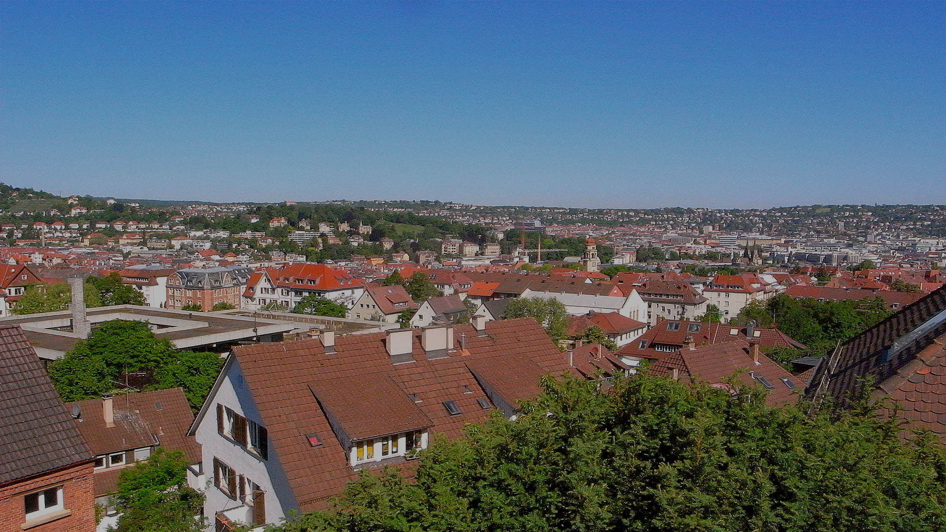 Bannerbild