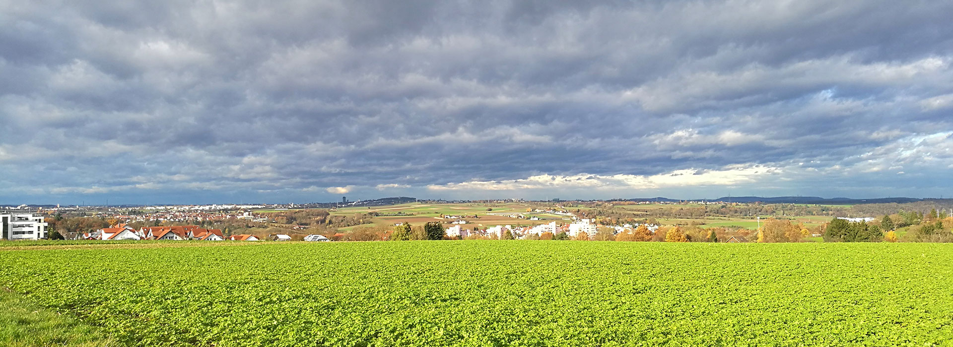 Bannerbild