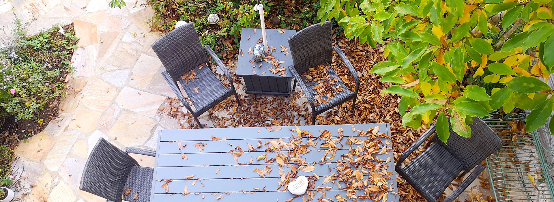 Bannerbild